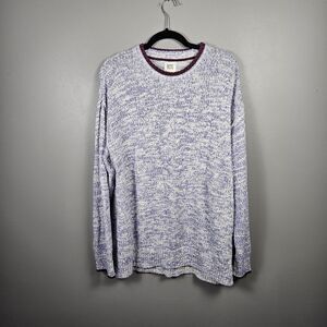 Urban Outfitters Men's Size Large Sweater BDG Clark Crew Neck Pullover Purple
